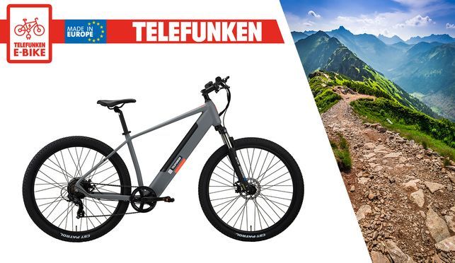 Telefunken Pedelec Aufsteiger M921 - sportliches E-Mountainbike, 29 Zoll