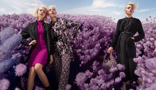 Die neue Kollektion " Purple Reign " von Marc Cain Collections