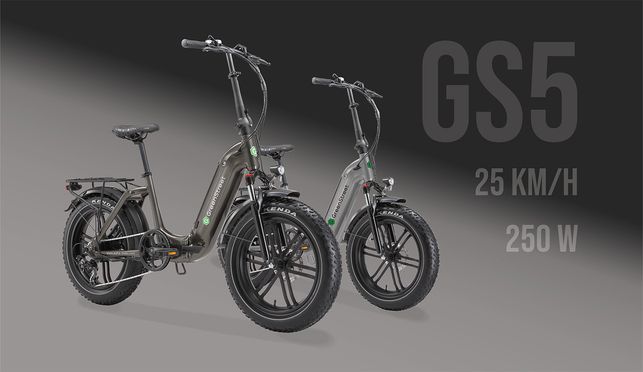 GreenStreet E-Bike Tiefeinsteiger Klapprad GS5, 250 W, 20 Zoll