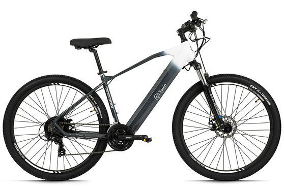 TOTEM E-MTB Hardtail 29" Youin EV-S Heckmotor 50NM / 14Ah stahlgrau-weiß