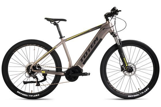 TOTEM E-MTB Hardtail 29" Maurice Pro Mittelmotor 80NM / 20Ah Grau RH 48 cm