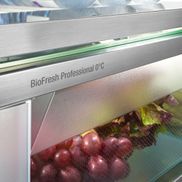 BioFresh Professional