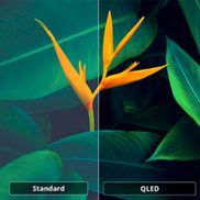 QLED-Display