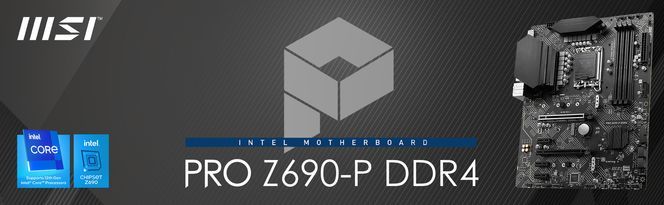 PRO Z690-P DDR4
