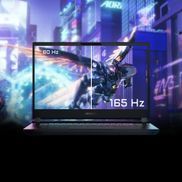 165 Hz QHD Auflösung