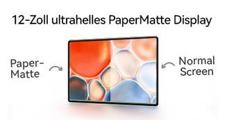 12-Zoll PaperMatte Display