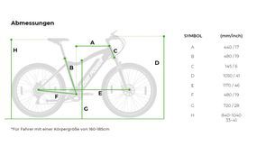 Shimano 7 Gang Schaltung