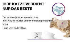 Intelligentes Design für Ihre Katze und Ihren Hund