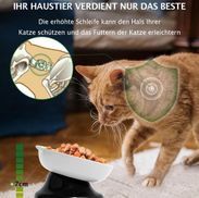 Erhöhter Katzennapf