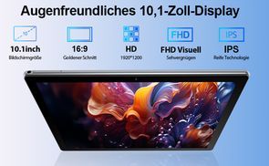 10 Zoll IPS Bildschirm