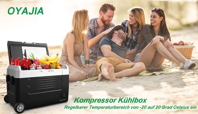 Kompressor Kühlbox 45L mit APP– eine elektrische Kühlbox, die sich Ihren Bedürfnissen flexibel anpas