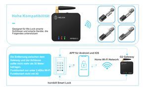 WeLock WiFi Gateway Steuerung