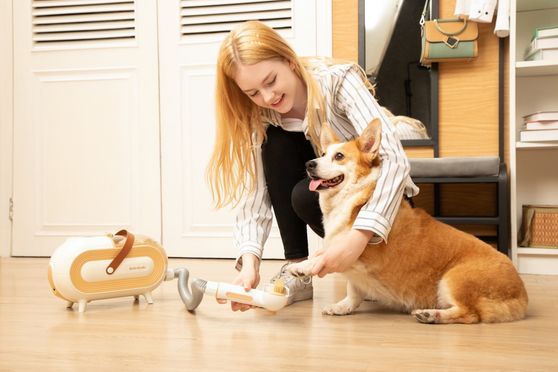 Katio Kadio Hundeschermaschine mit Staubsauger 2L, Super Saugkraft mit 8 Pflegewerkzeugen