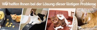 Katzeninstinkte freilassen