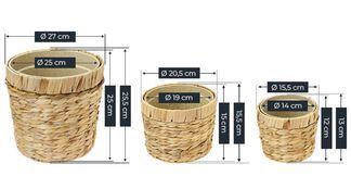 3 Größen | Optimal für jede Zimmerpflanze