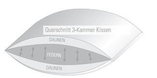 Aufbau der 3 Kammern