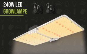 240W LED Growlampe