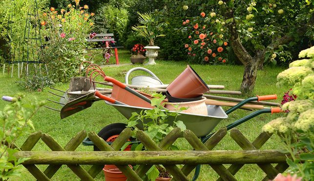 Tomatengewächshaus für Garten und Balkon