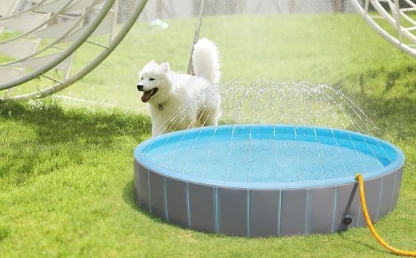 Hundepool Swimmingpool Mit Wasserspritzen