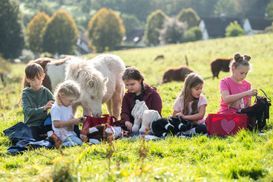 Die Cuddle Pony Welt von HKM