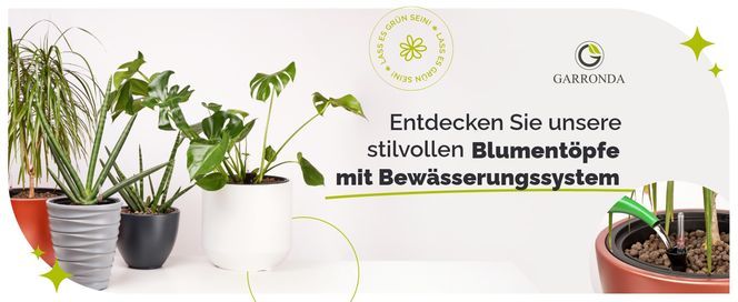 Moderne Bewässerungstöpfe für Ihr grünes Zuhause