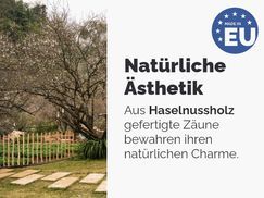 Natürliche Ästhetik