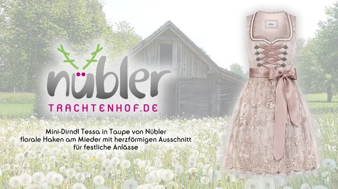 Mini Dirndl Tessa in Taupe für festliche Anlässe: