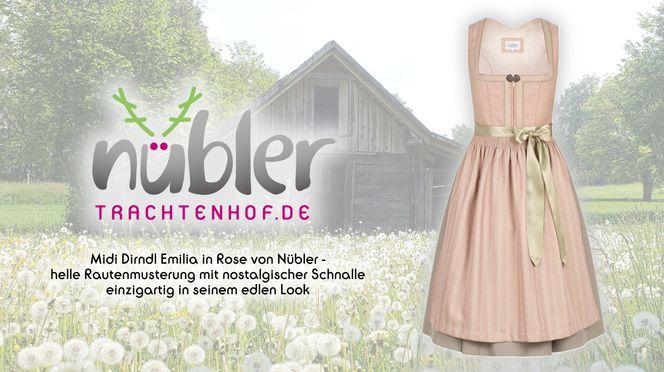 Midi Dirndl in Rose einzigartig in seinem edlen Look