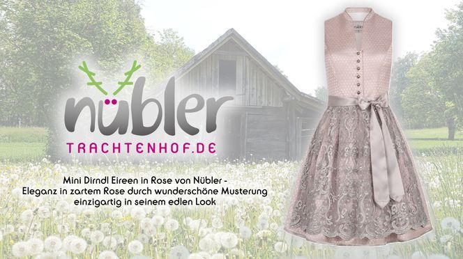 Mini Dirndl Eireen in Rose einzigartig in seinem edlen Look