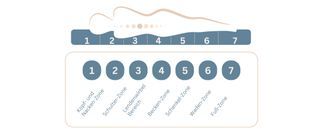 Die 7 Zonen der Medic Plus Taschenfederkernmatratze