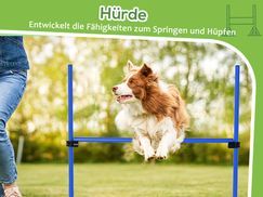 Perfekt für Agility Einsteiger