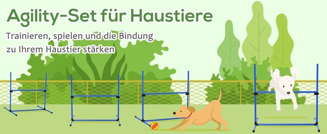 Trainieren, spielen und die Bindung zu Ihrem Haustier stärken