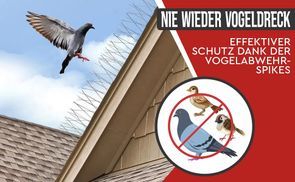 Kein Vogeldreck mehr