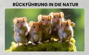 Weil uns das Tierwohl wichtig ist