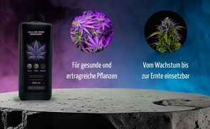 Optimale Nährstoffversorgung Von Wachstum bis Blüte