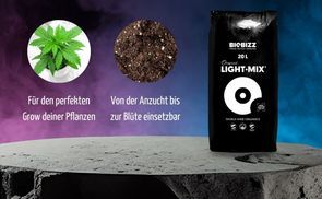 Spezialerde mit Perlite für ideale Durchlüftung