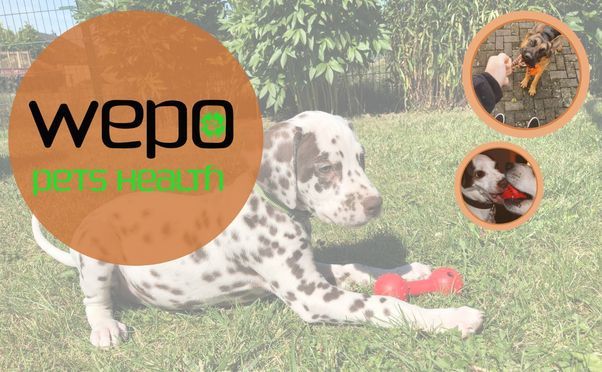 WEPO pets health