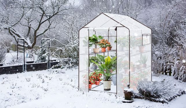 Sekey Gewächshaus – Für das perfekte Gartenerlebnis!