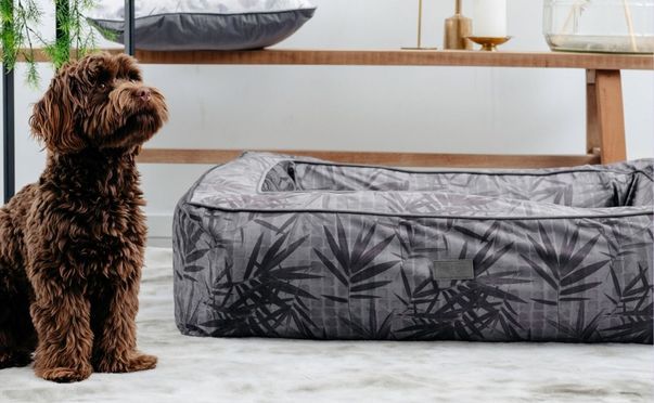 Luxeriöser Schlafkomfort für Ihren Hund im stilvollen Design