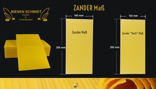 Zander Mittelwand