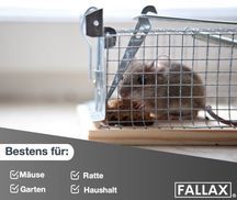 Wesentlichen Produkteigenschaften des Produktes: