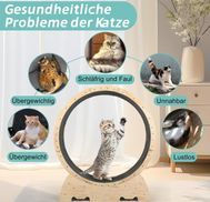 Was ist der Zweck eines Katzenabnehmrades?