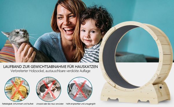 Katzentrainingsrad für Indoor Rennen und Gewichtsabnahme