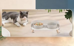 Doppelnapf für Katzen, durchdachtes Design