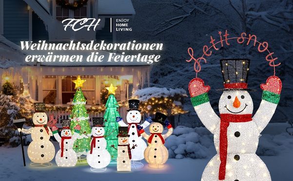 FCH Schneemann