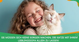 Kratzschutz Sofa Katze