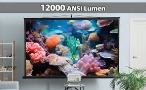 12000 ANSI Lumen 