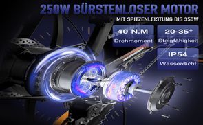 250W Getriebenabenmotor