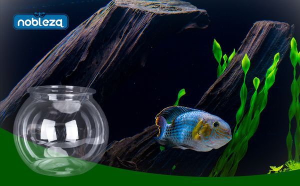 Nobleza Kugelaquarium Bruchsicherer Kunststoff Fischschale, ideal für Blumen oder als Fischglas