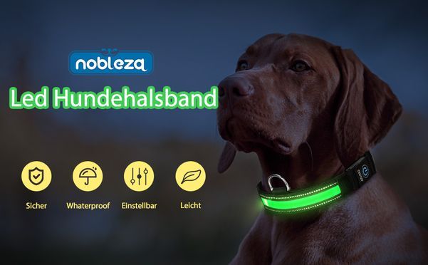 Nobleza Hund Halsbänder